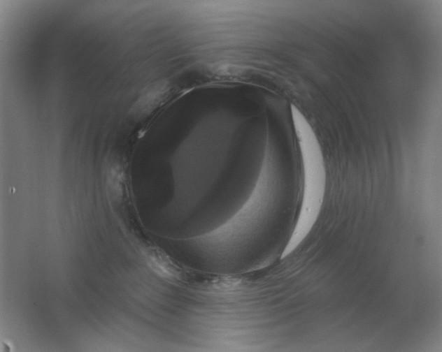 X0000062140235200512231513