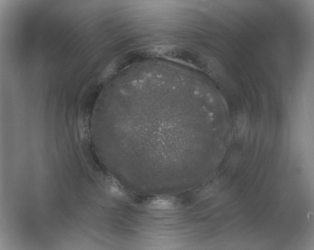 X0000062140236200512231513