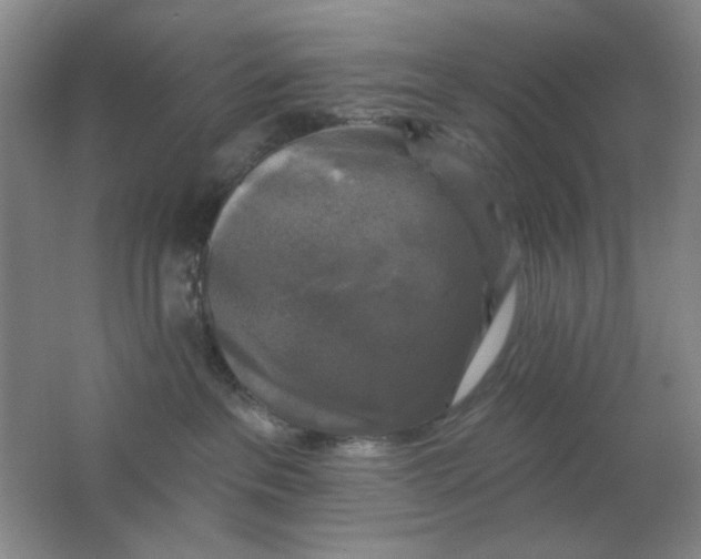 X0000062140237200512231513