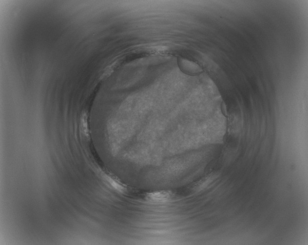 X0000062140238200512231513