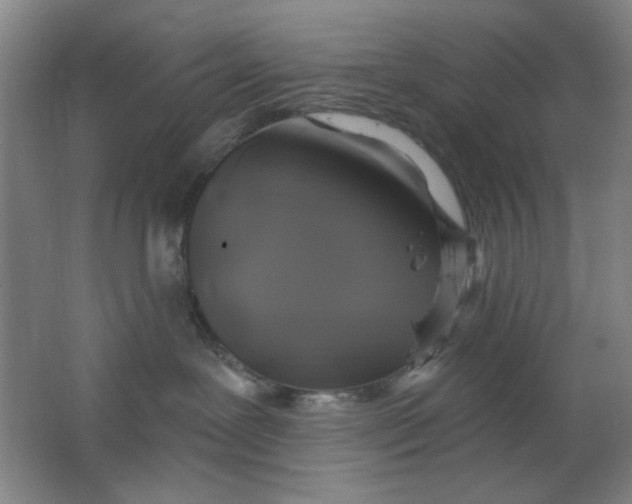 X0000062140239200512231513