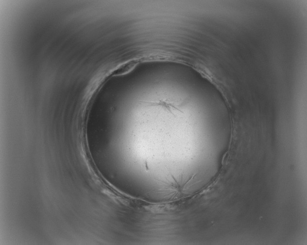 X0000062140241200512231512