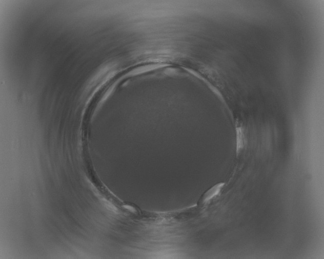 X0000062140243200512231513