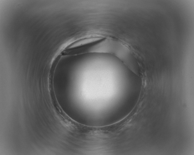 X0000062140244200512231513