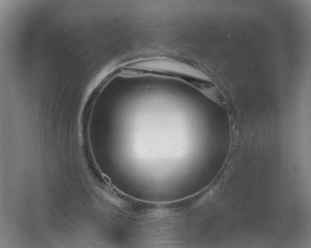 X0000062140246200512231513