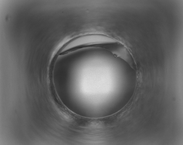 X0000062140248200512231513