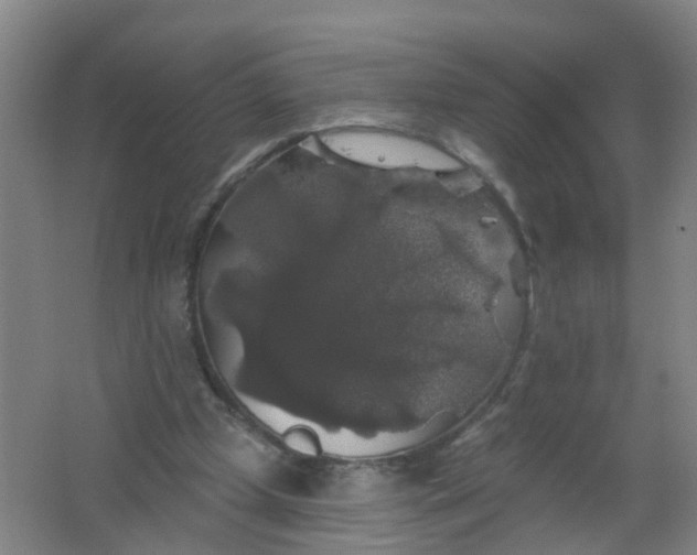 X0000062140249200512231513