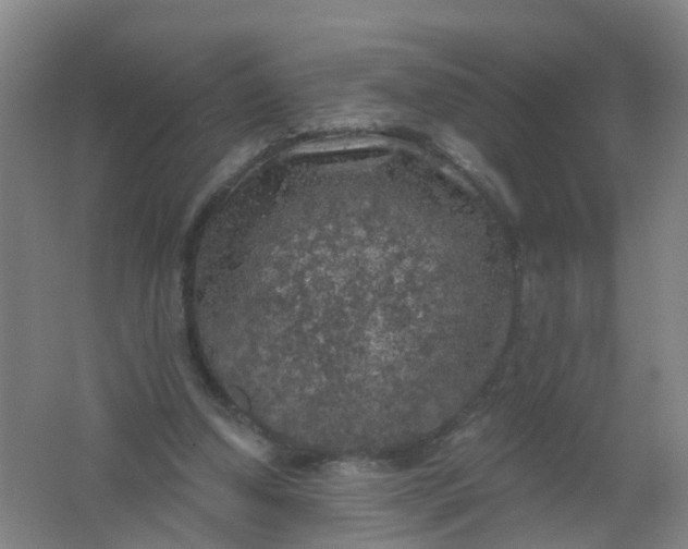 X0000062140250200512231513