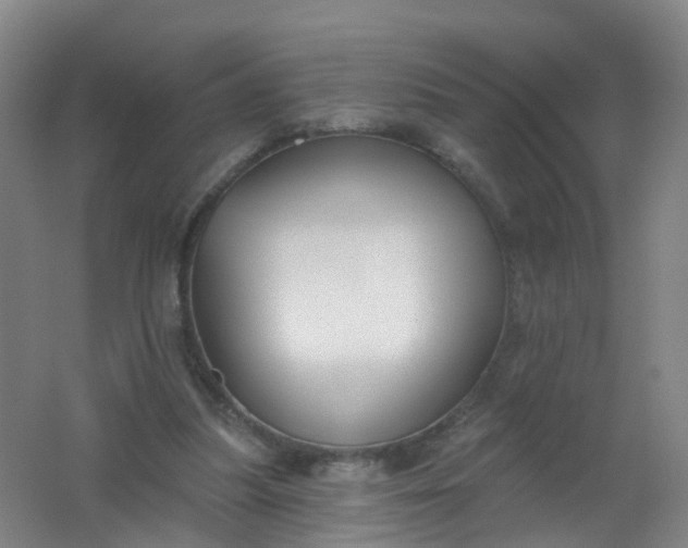 X0000062140251200512231513