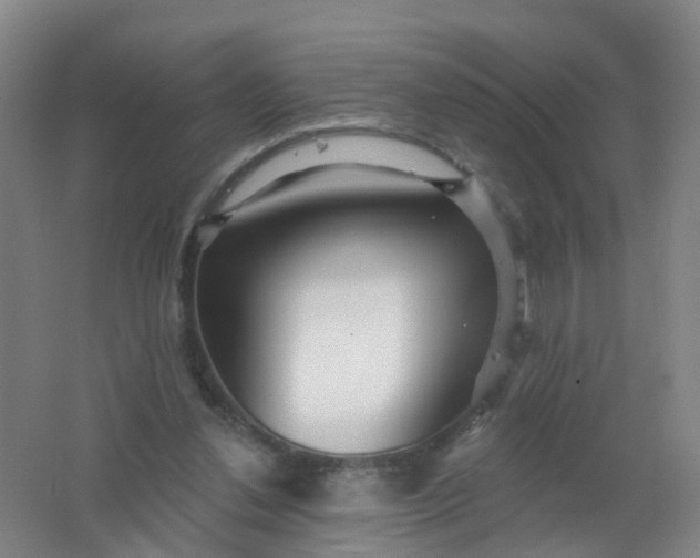 X0000062140252200512231513