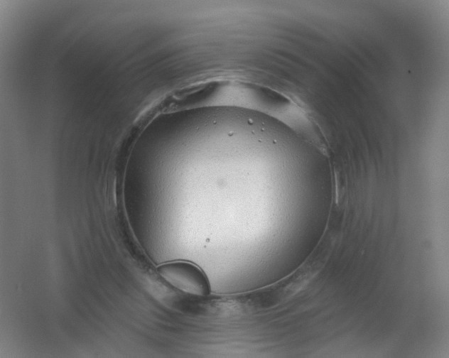 X0000062140253200512231513