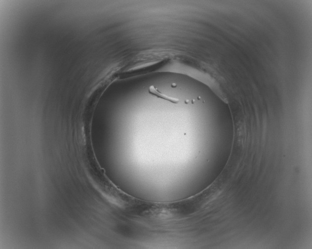 X0000062140254200512231513