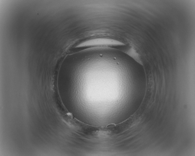 X0000062140255200512231513