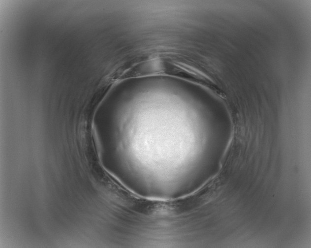 X0000062140263200512231513