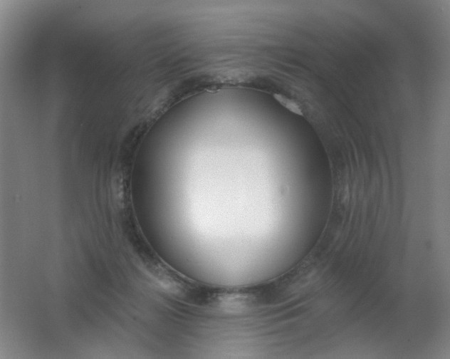 X0000062140268200512231513