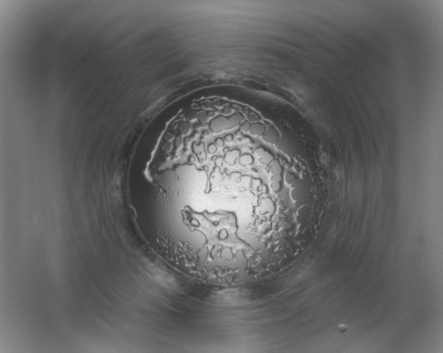 X0000062140269200512231513