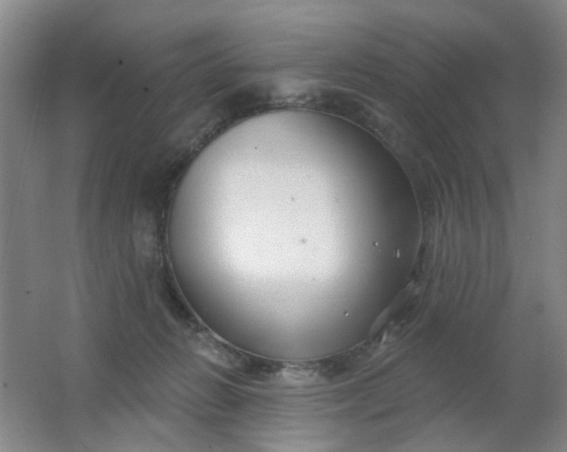 X0000062140270200512231513