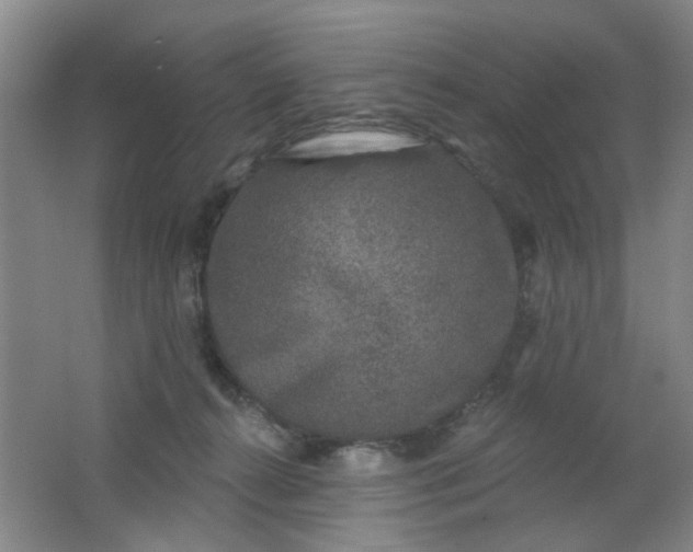 X0000062140272200512231513