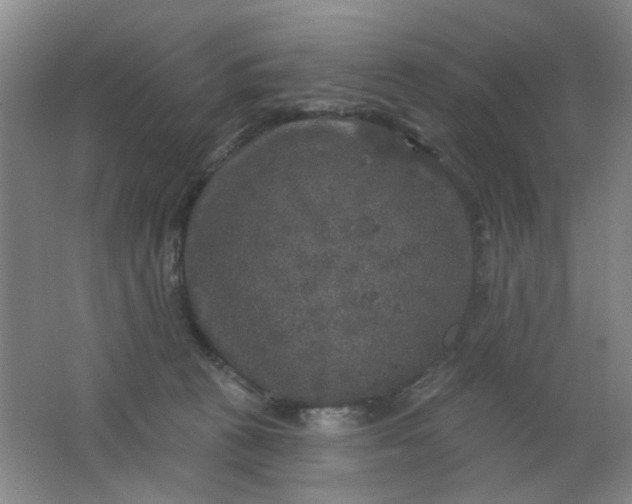 X0000062140273200512231513