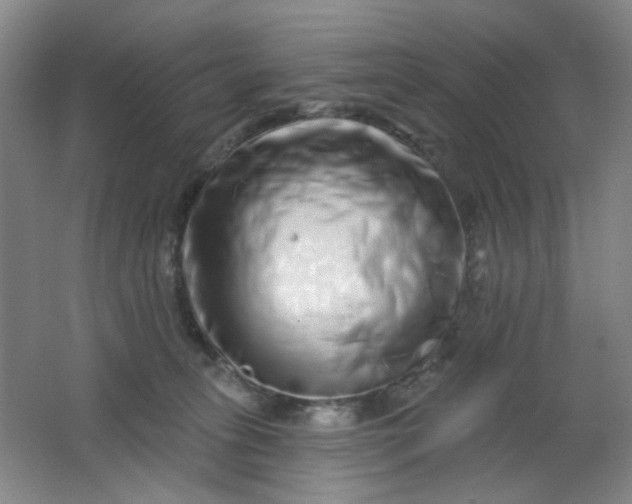 X0000062140275200512231513