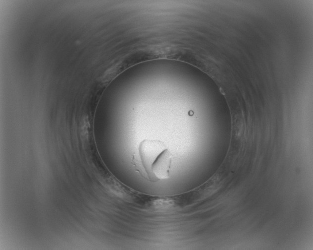 X0000062140279200512231513