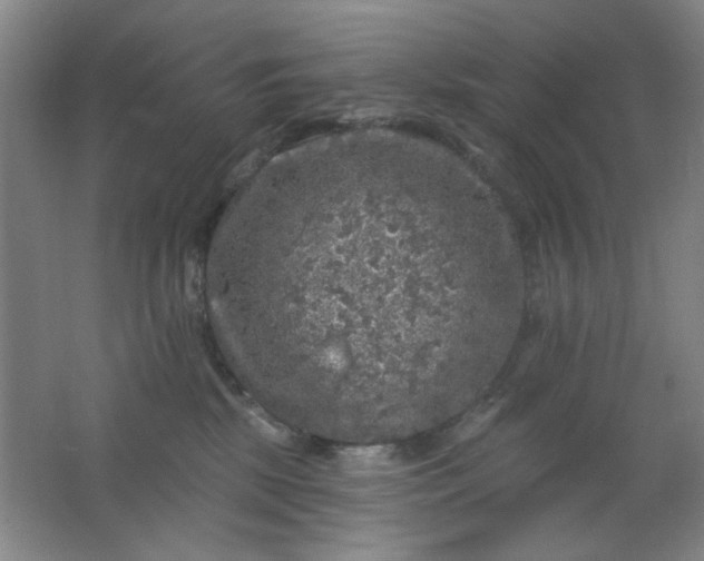 X0000062140281200512231513