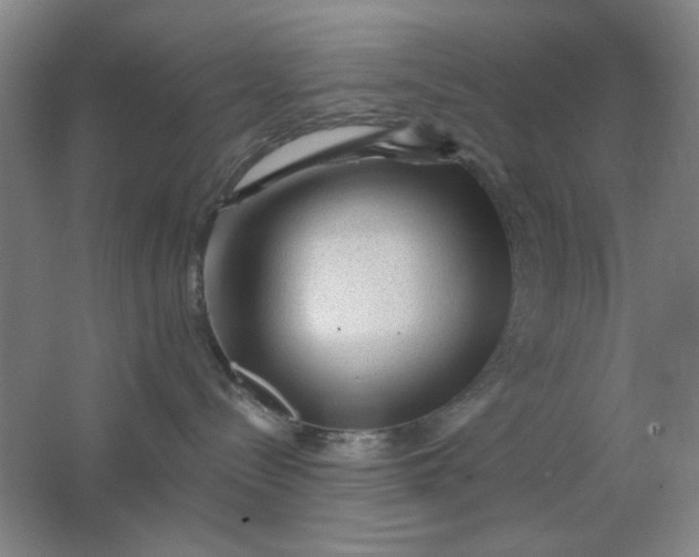 X0000062140288200512231513