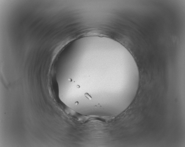 X0000062140289200512231512