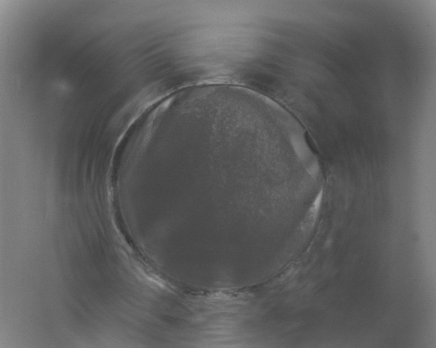 X0000062140290200512231512