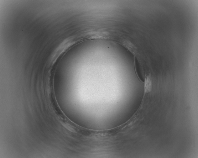 X0000062140291200512231512