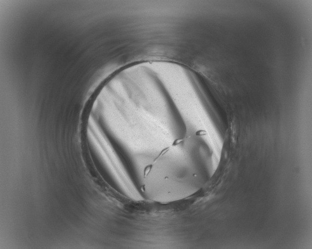 X0000062140292200512231512