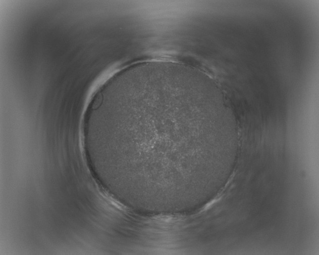 X0000062140294200512231512