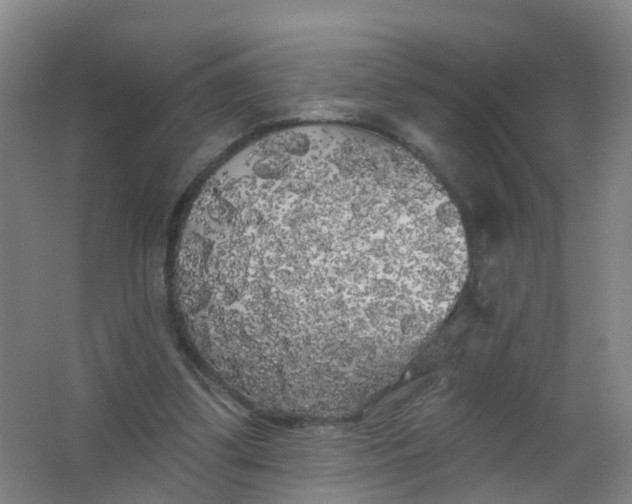 X0000062140299200512231512