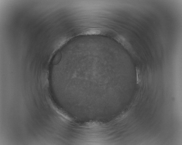 X0000062140300200512231512