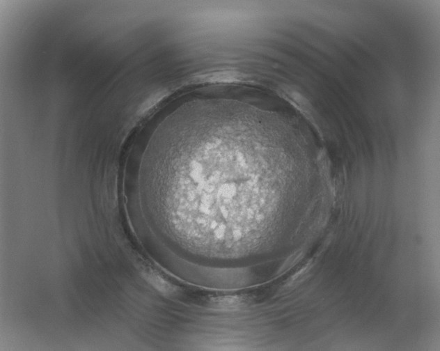 X0000062140301200512231512