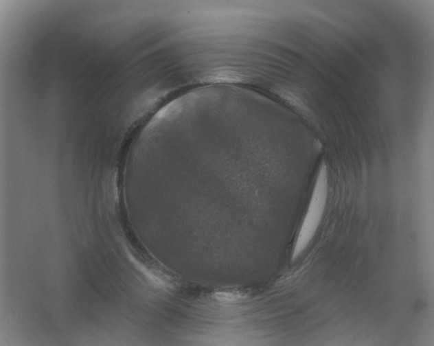 X0000062140302200512231512