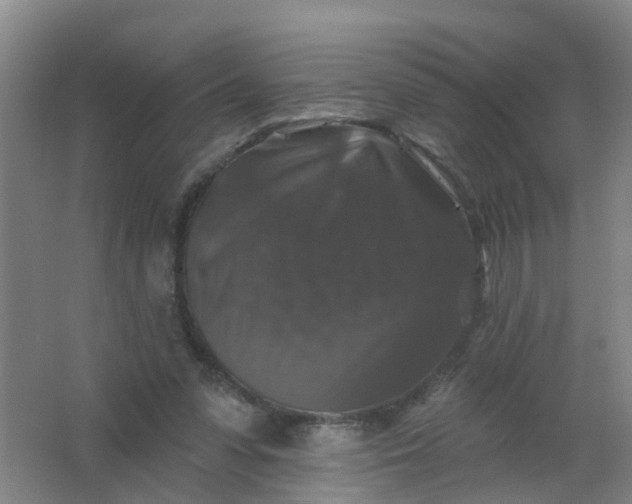 X0000062140303200512231512