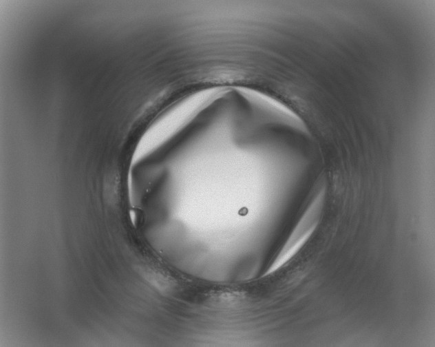 X0000062140304200512231512