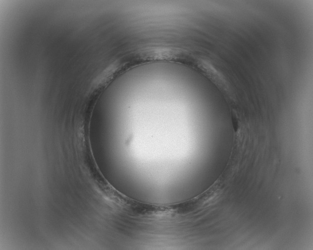 X0000062140306200512231512