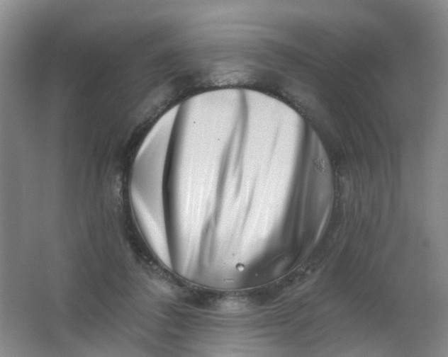 X0000062140308200512231512