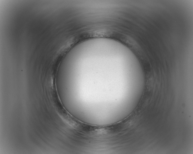 X0000062140310200512231512