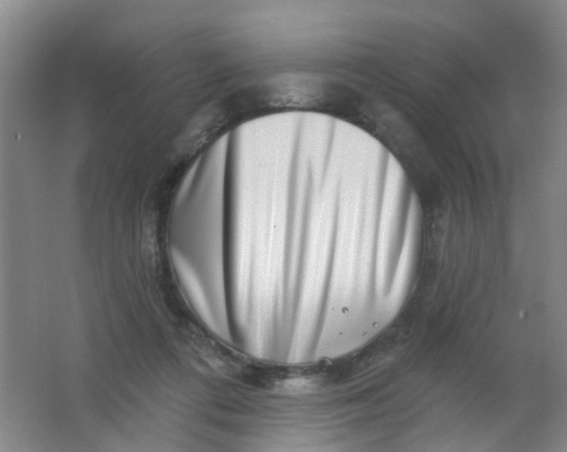 X0000062140312200512231512