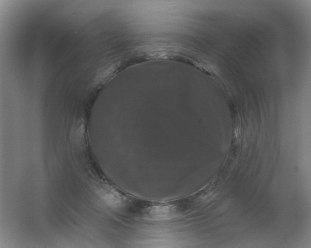 X0000062140314200512231512