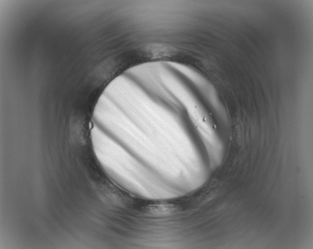 X0000062140316200512231512