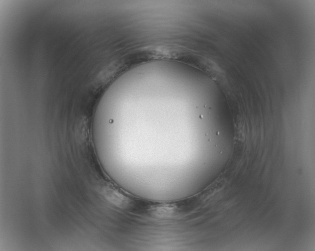 X0000062140318200512231512