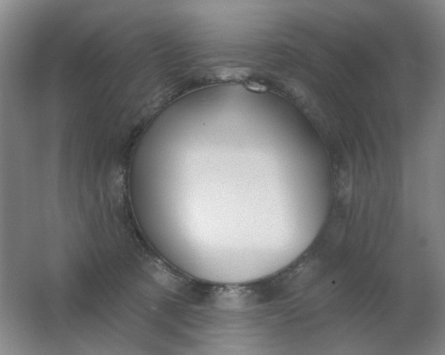 X0000062140321200512231512