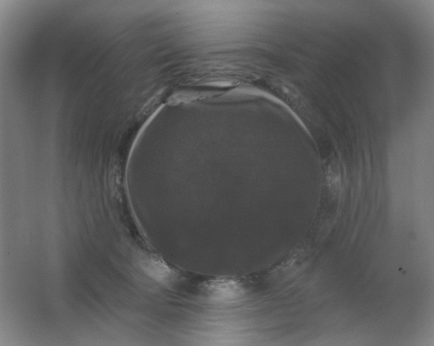 X0000062140322200512231512