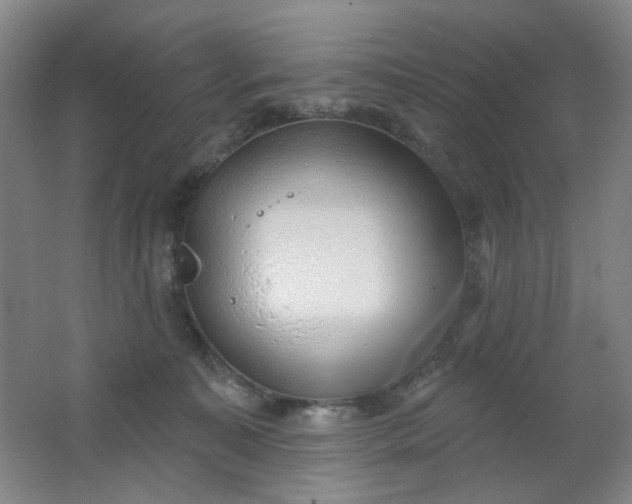 X0000062140323200512231512