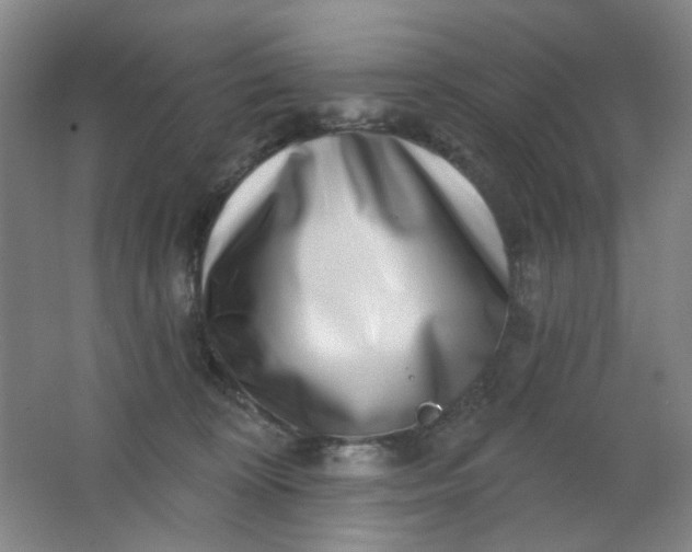 X0000062140324200512231512