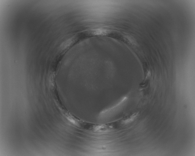 X0000062140325200512231512